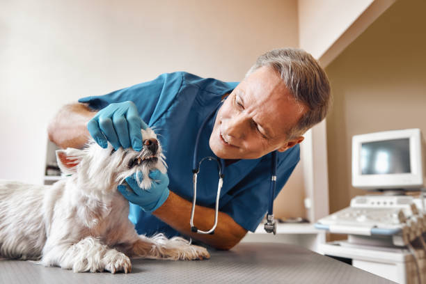 Best Weekend Emergency Dentist in Nuevo, CA